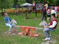 Favolosi anni 50 (179)